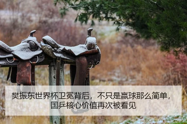 樊振东世界杯卫冕背后，不只是赢球那么简单，国乒核心价值再次被看见