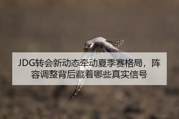 JDG转会新动态牵动夏季赛格局，阵容调整背后藏着哪些真实信号
